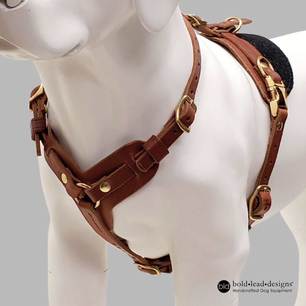 Everyday Working Harness – Bold Lead Designs
