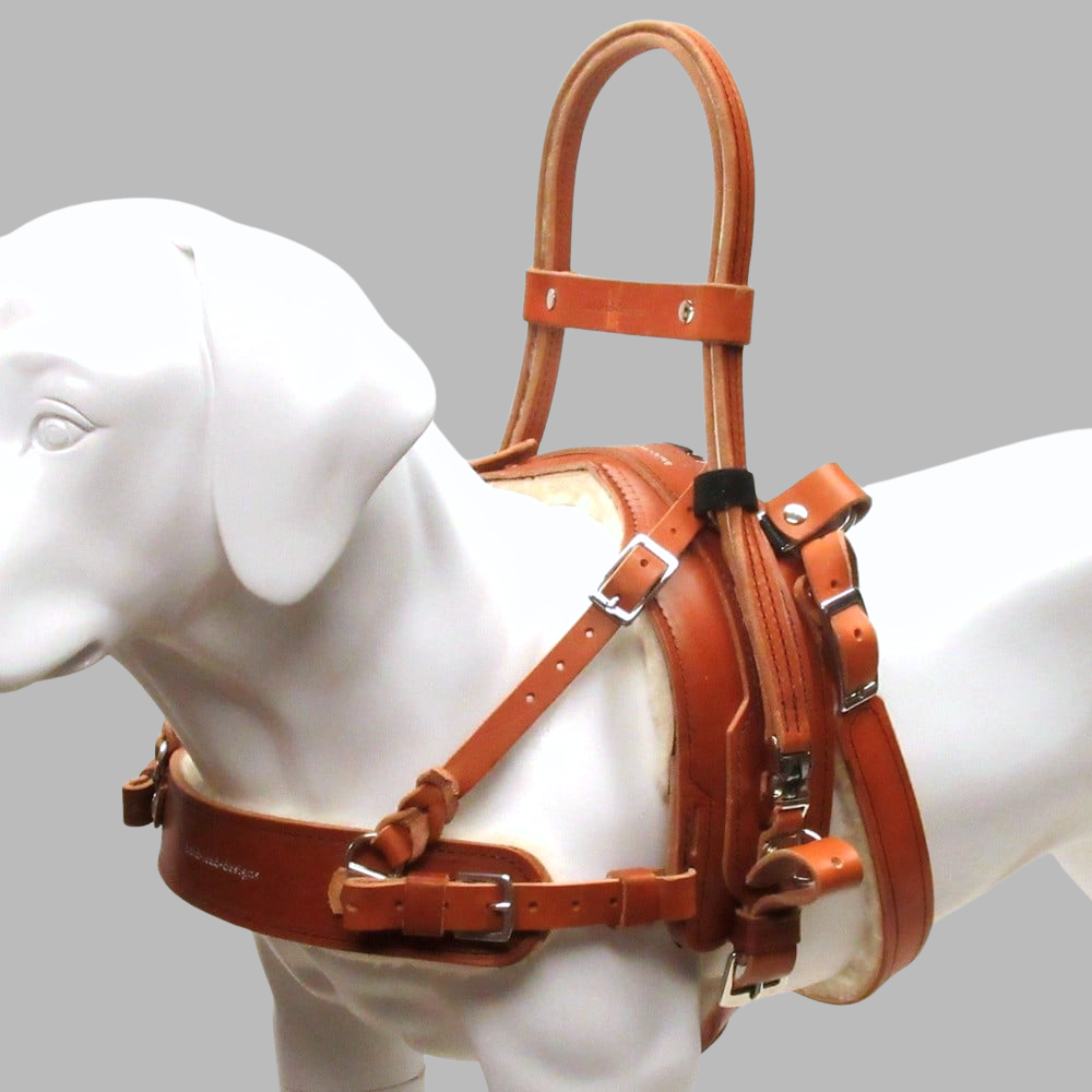 Balance Assistance Harness™ for service dogs (BAH) – Bold Lead Designs
