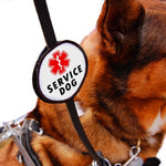 Close-up of a 'Service Dog' leash wrap on a leash clipped to a sable dog in the background 