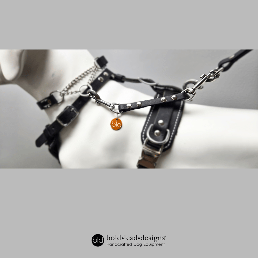 Black Brahma M heavy-duty style Safety Connector shown connected to a martingale collar and a leash. The leash is connected to a body harness on a mannequin with 'bold lead designs' branding.