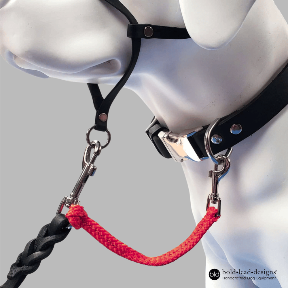 Red safety cord shown connecting a leash, halter, and collar on a white dog mannequin. The leash is clipped to the head collar, and the safety cord connects the leash to a flat black collar.