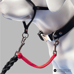 Red safety cord shown connecting a leash, halter, and collar on a white dog mannequin. The leash is clipped to the head collar, and the safety cord connects the leash to a flat black collar.