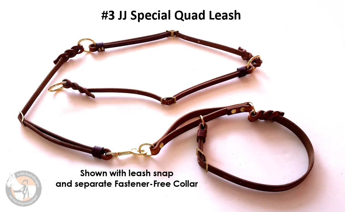 Brown leather leash with snap and fastener-free collar on a white background