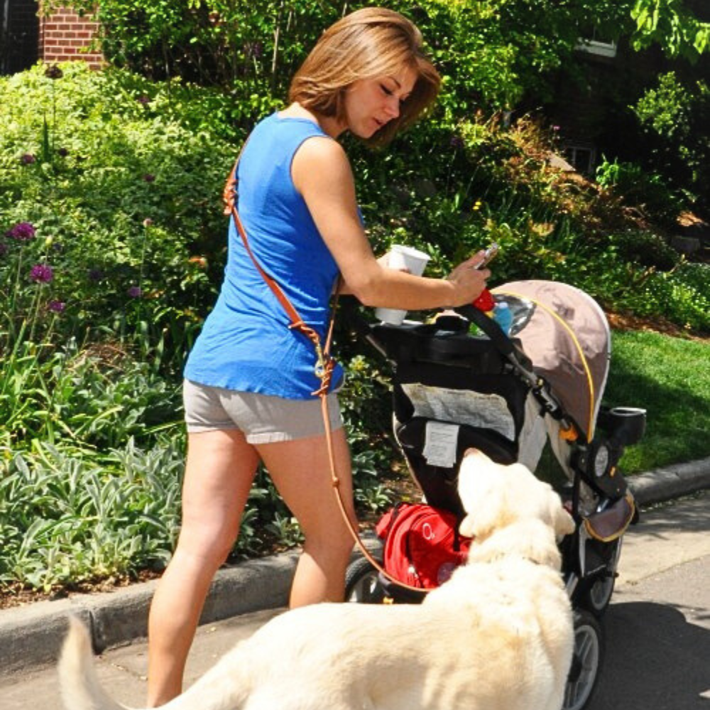 The Leather 8-Way Lead™ - versatile leash (6 or 8 feet long)