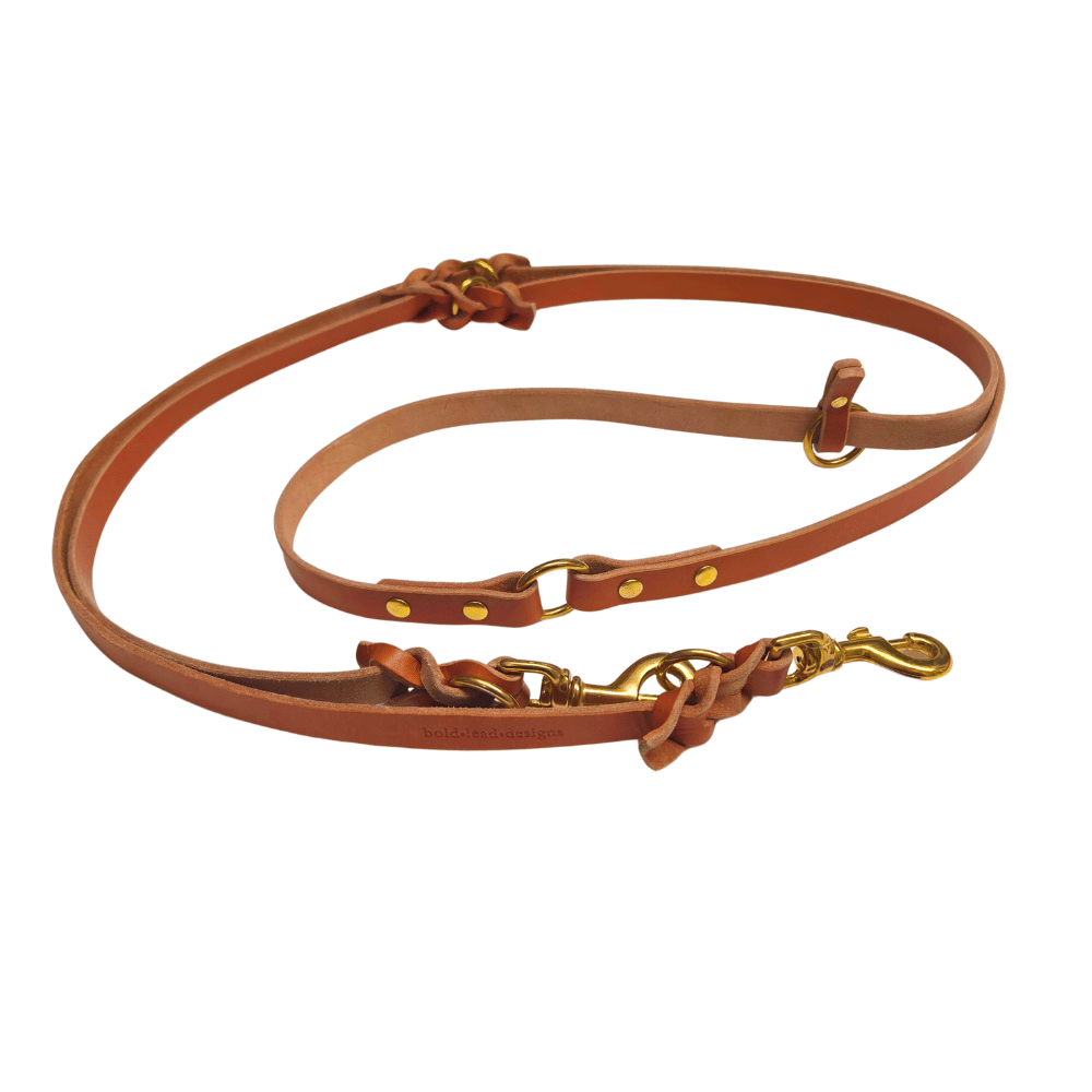 The Leather Atlas Leash™