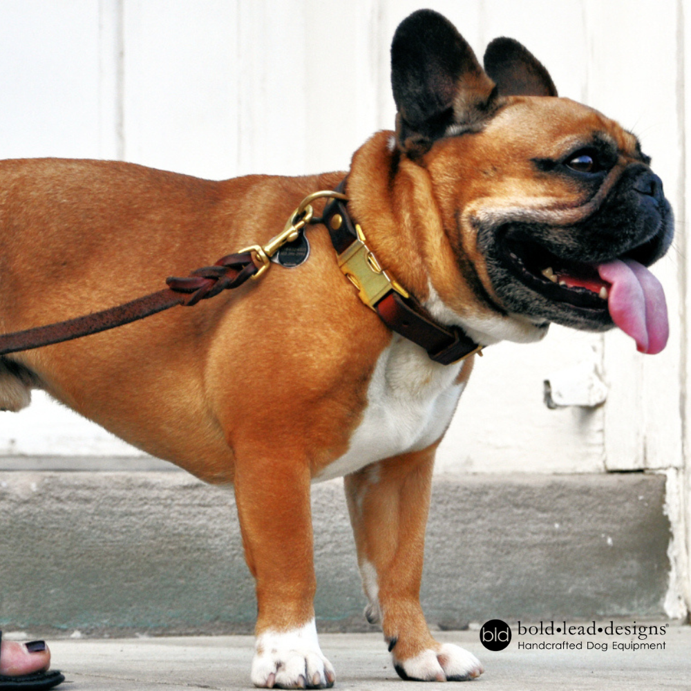 Leather Traditional Leather Lead