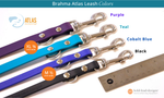 Brahma Atlas Leash Colors with purple, teal, cobalt blue, and black leashes on a white background.