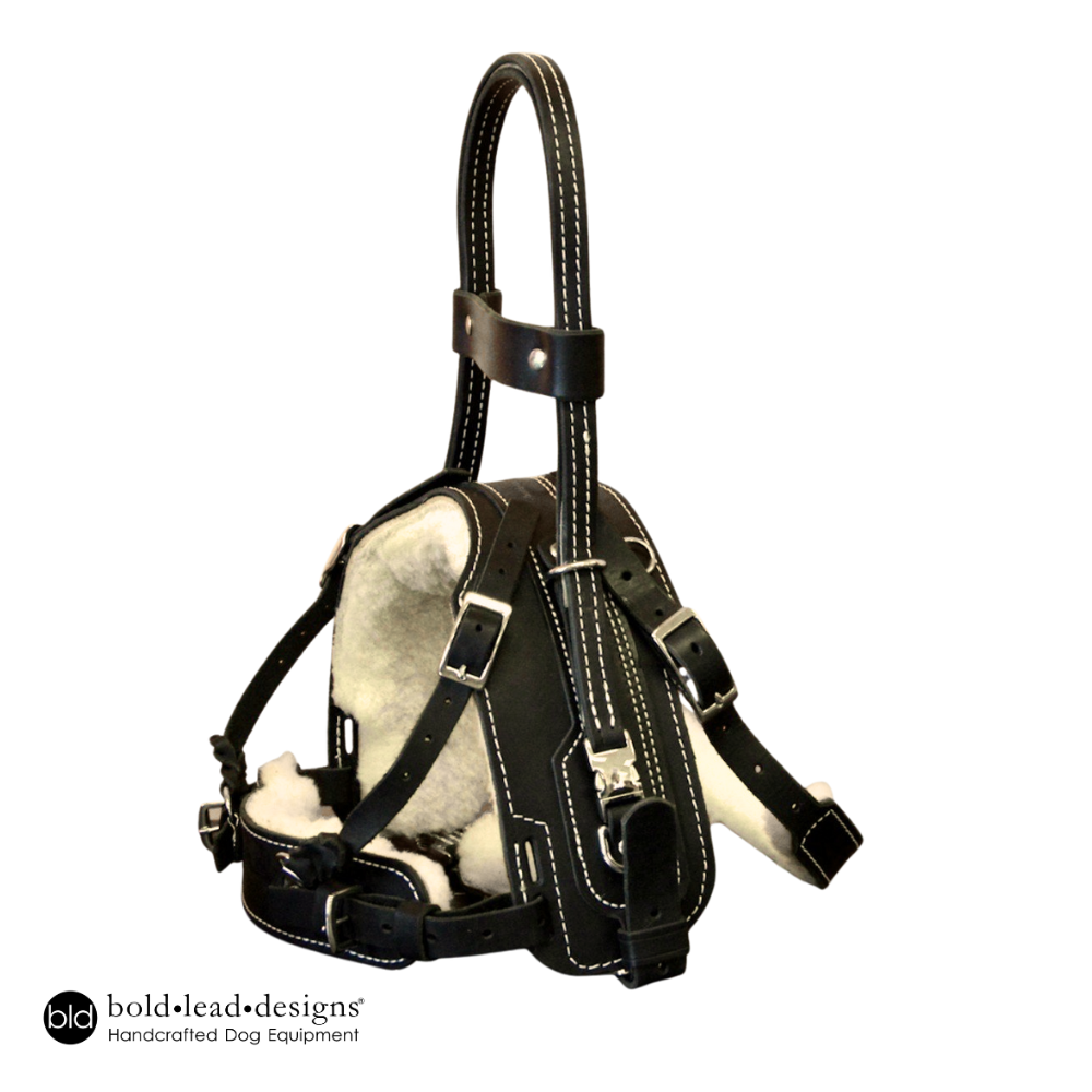 Balance Assistance Harness™ for service dogs