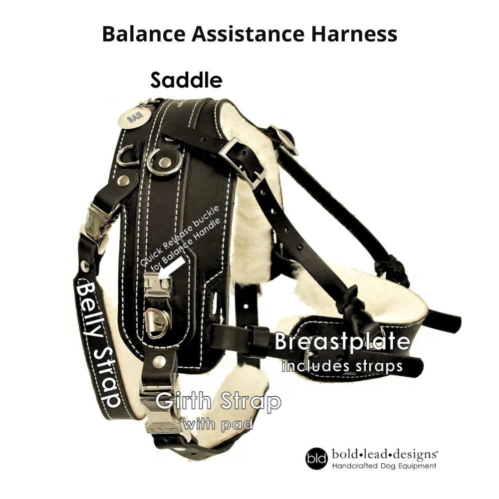 BARGAIN - BAH™ Saddle only