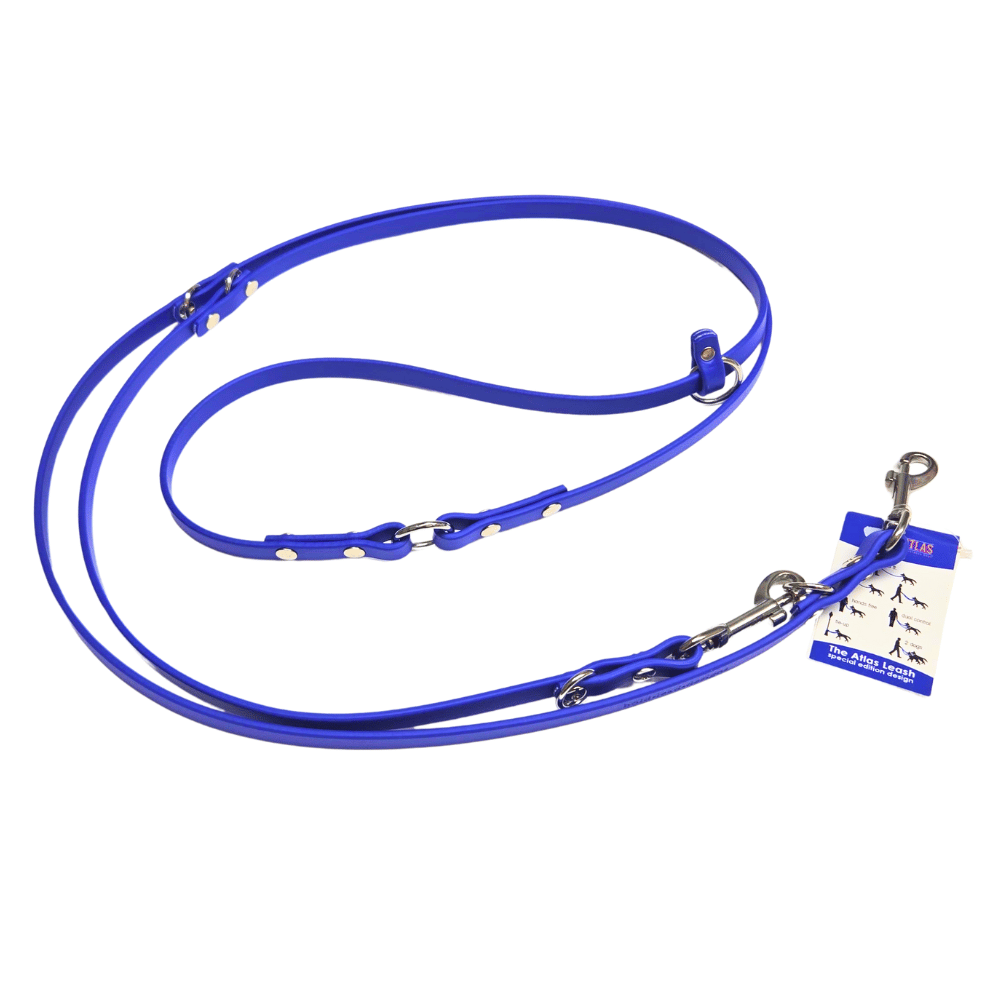 Cobalt Blue Atlas leash on a white background
