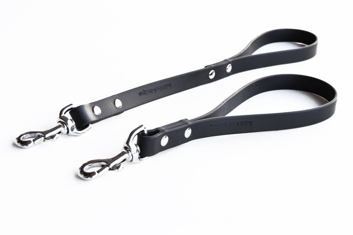 Black Brahma Traffic with metal clasp on a white background