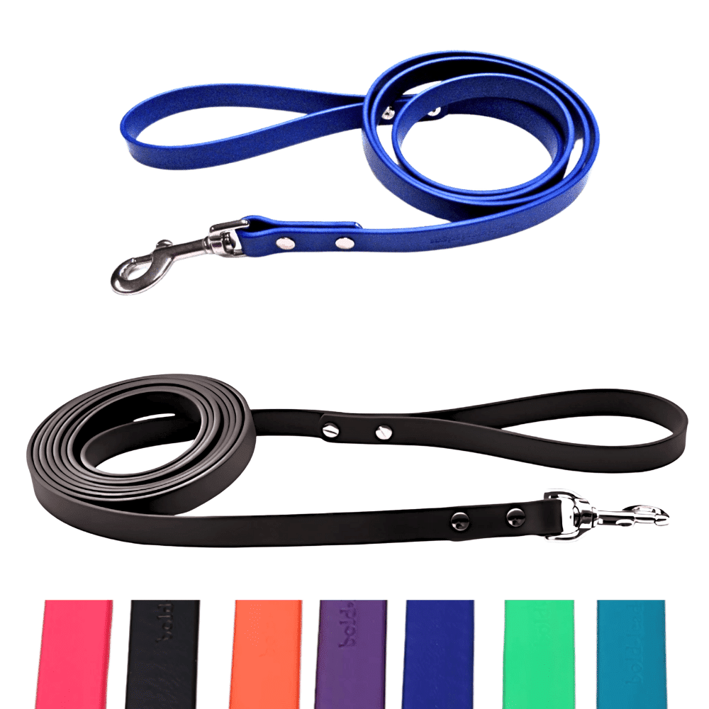 Blue and black Brahma dog leashes with color swatches on a white background