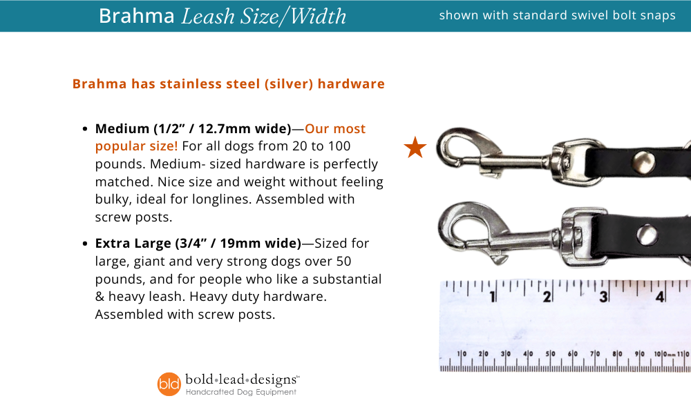 Brahma leash size chart with measurements and hardware details, featuring a ruler for scale.
