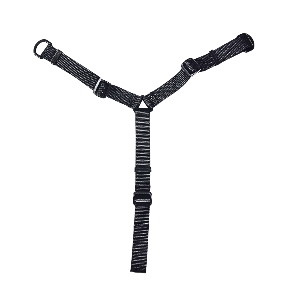 Large 1" wide Y-shaped chest harness strap on white background