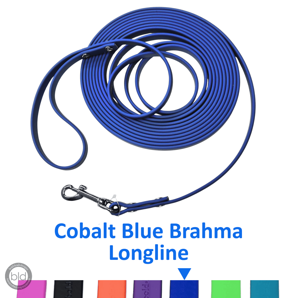 Cobalt blue Brahma Longline leash on a white background with color swatches below.