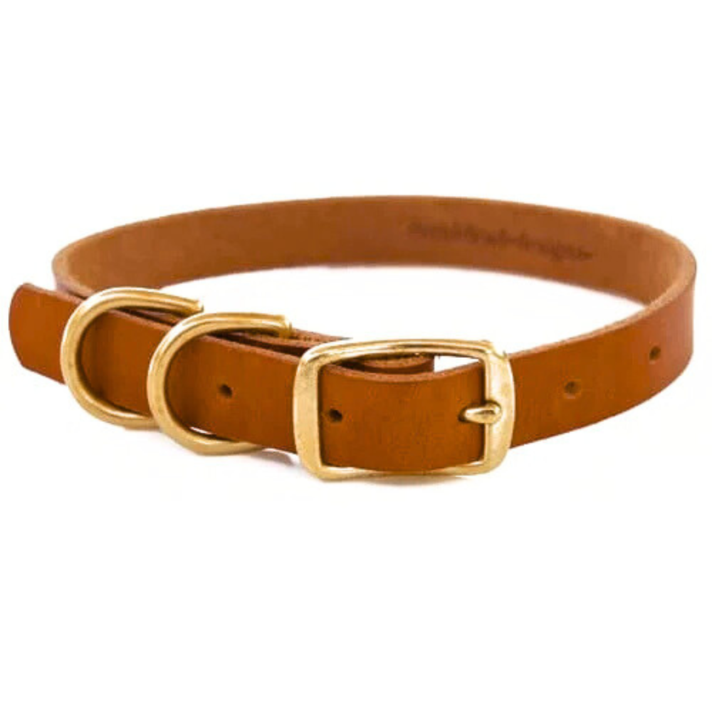 Leather Double D-Ring  Dog Collar