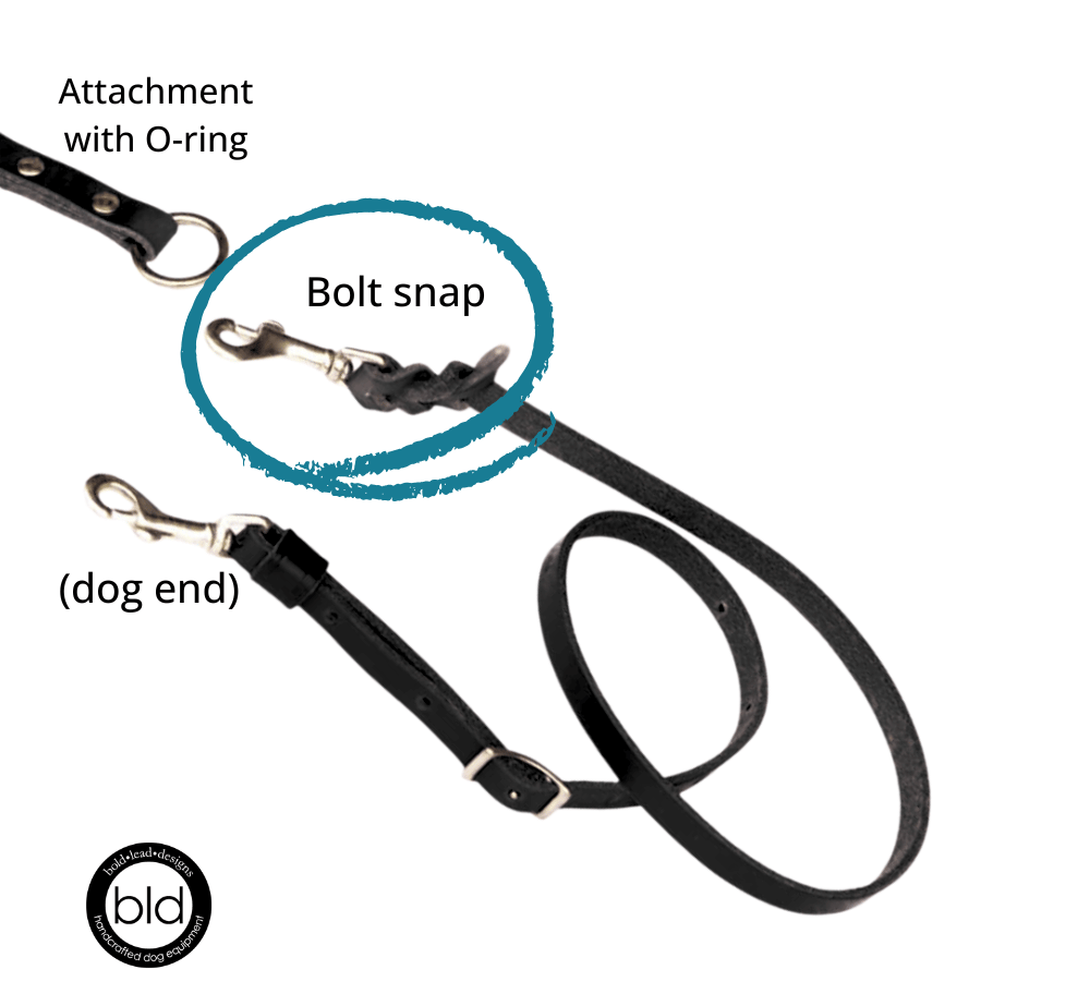 Black dog leash with bolt snap and O-ring attachment on a white background, featuring the brand 'bld'.