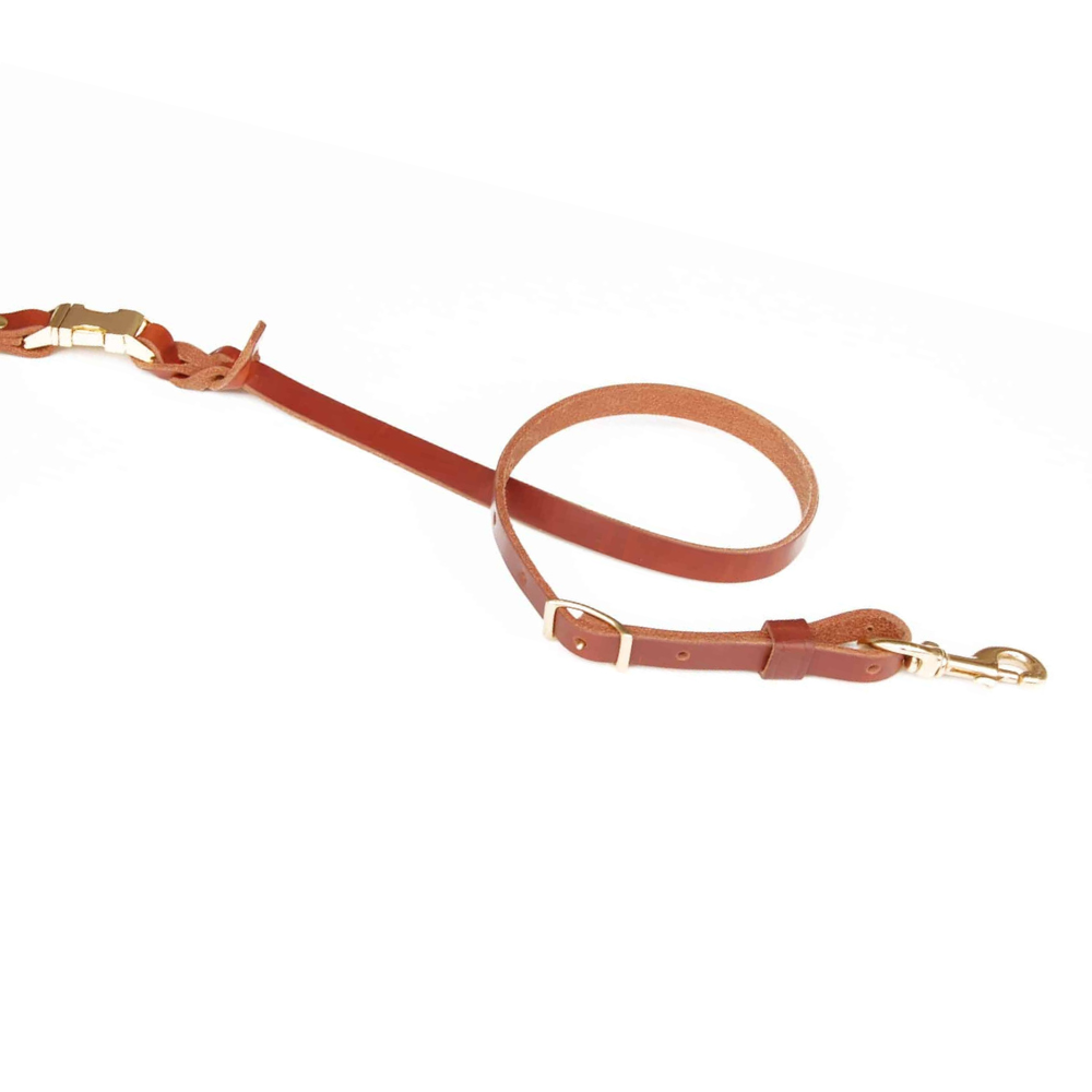 Detachable Leash (for Belt or Wheelchair)
