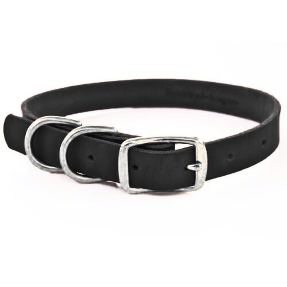 Leather Double D-Ring  Dog Collar