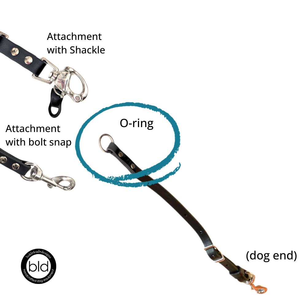 Dog leash with O-ring for attachments labeled on a white background