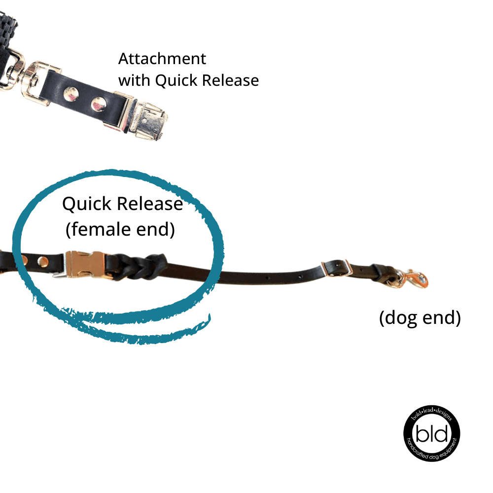 Dog leash with quick release mechanism on a white background