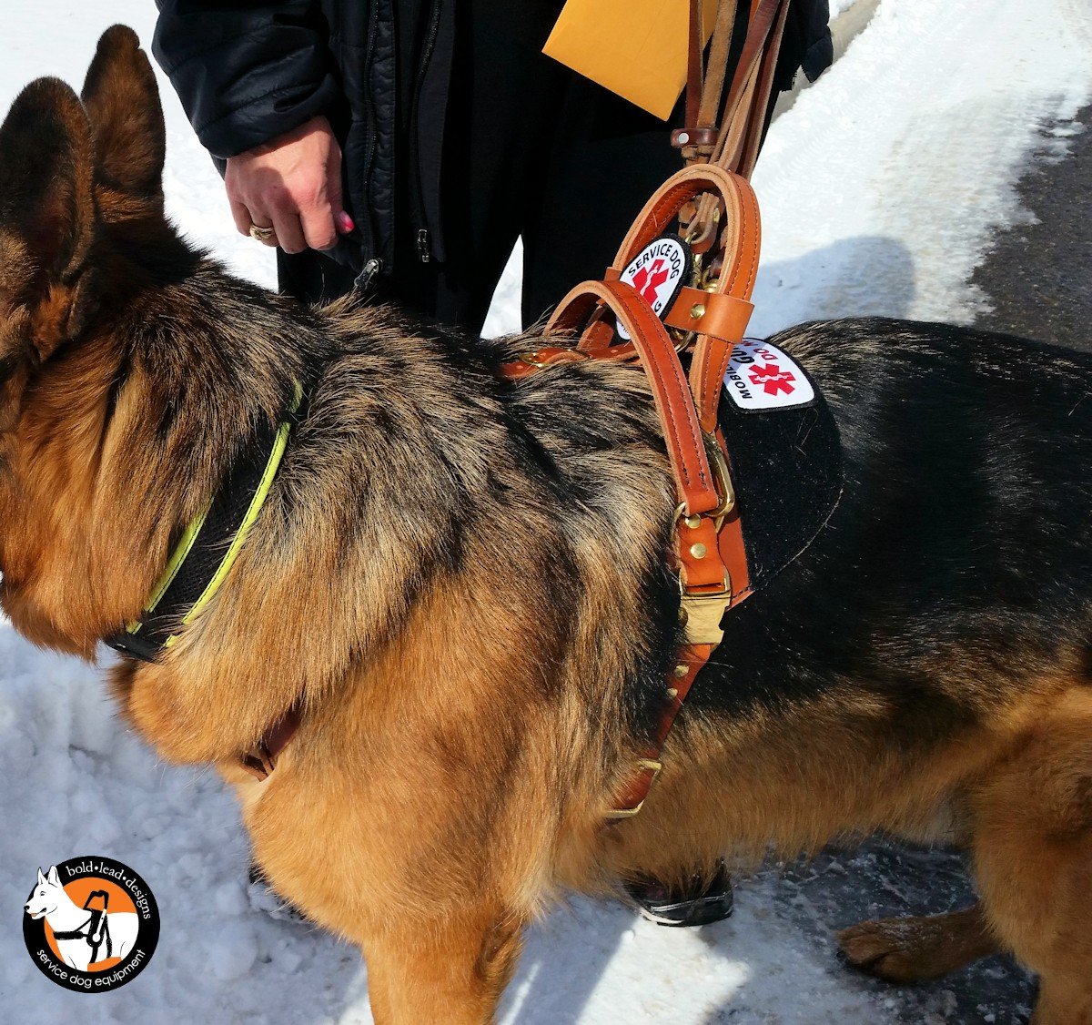 German Shepherd dog in a tan EWH on a leash with a person partially visible in the snow.