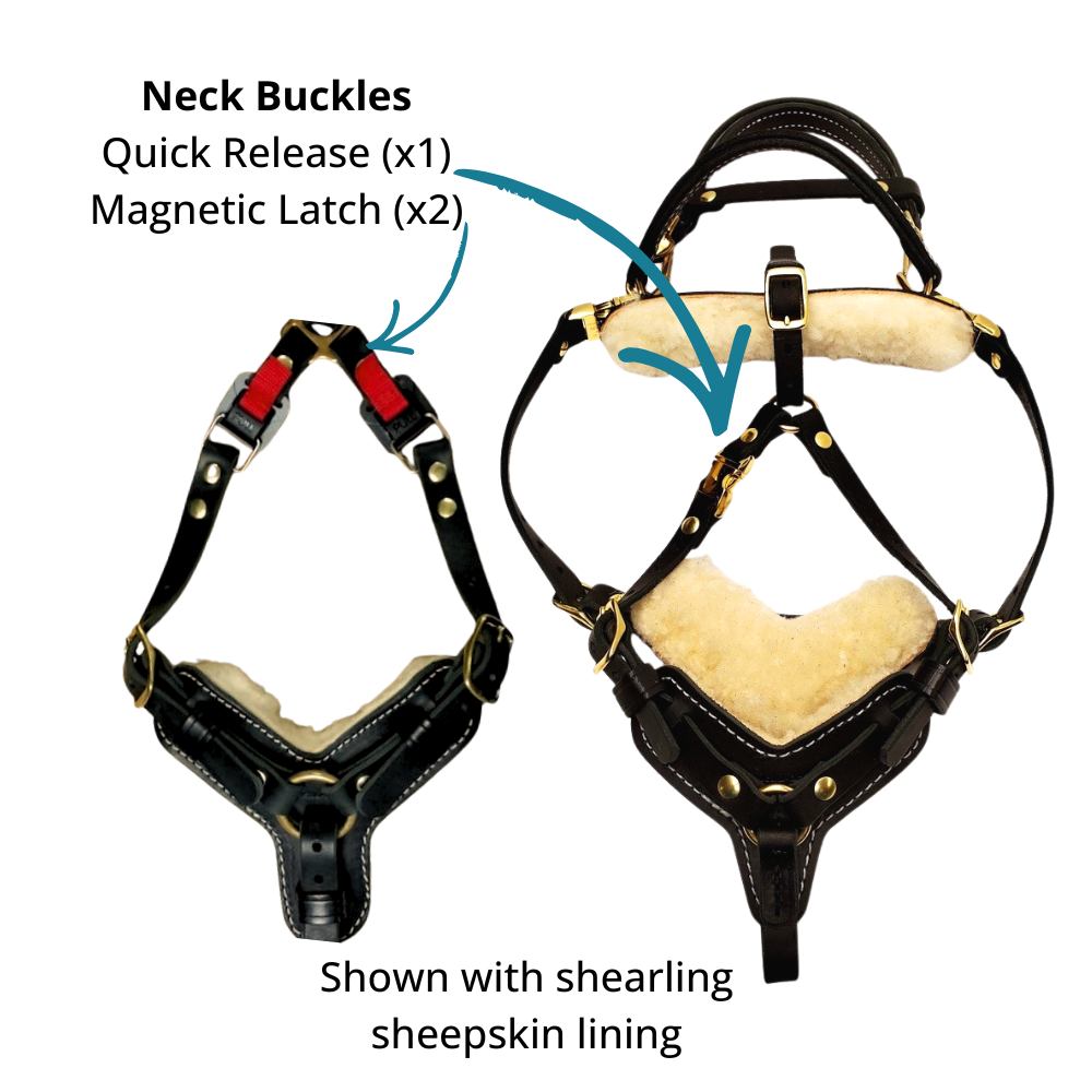 Two EWH viewed looking at the front chest plate with arrows pointing to neck buckle options