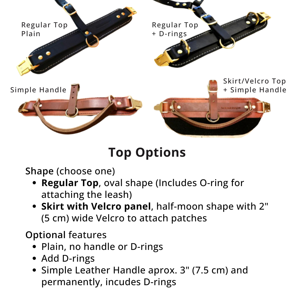 Top Options for EWH with text descriptions on a white background