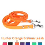 Orange dog leash with metal clips on a white background