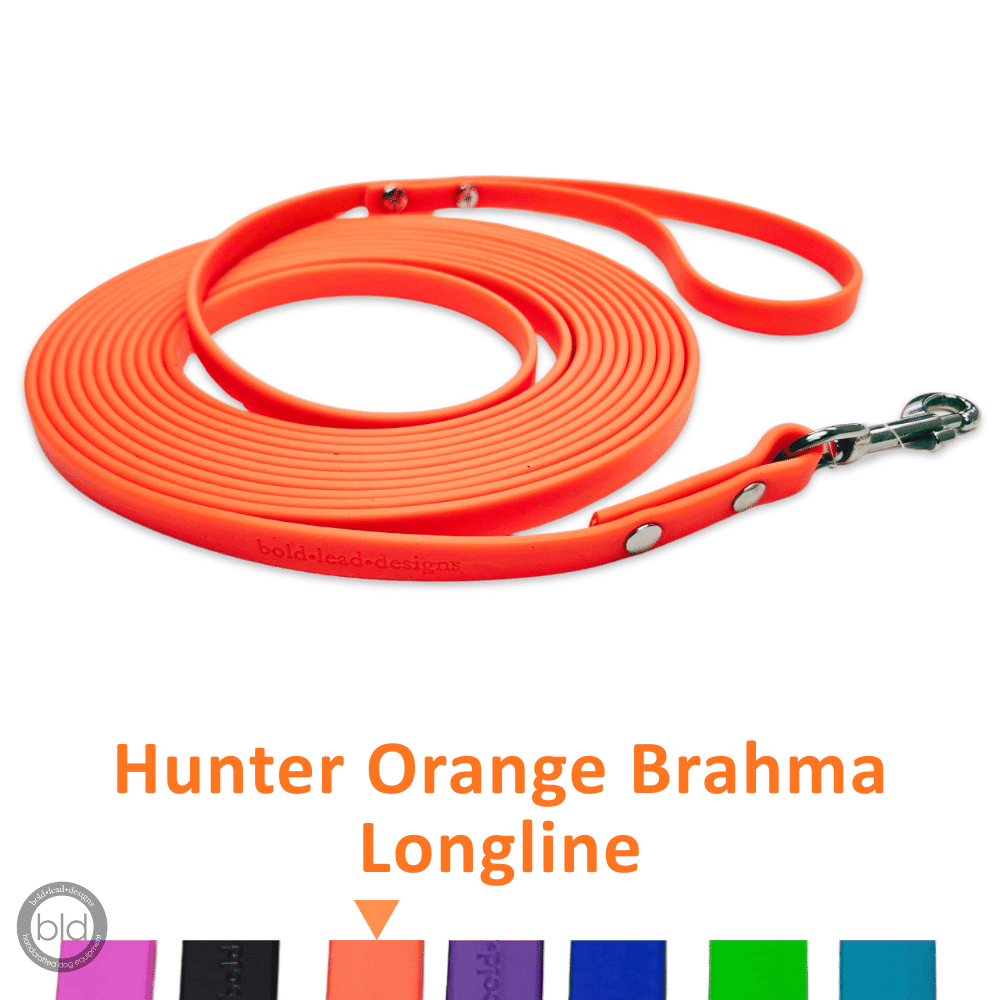 Hunter Orange Brahma Longline leash on a white background with color swatches below.