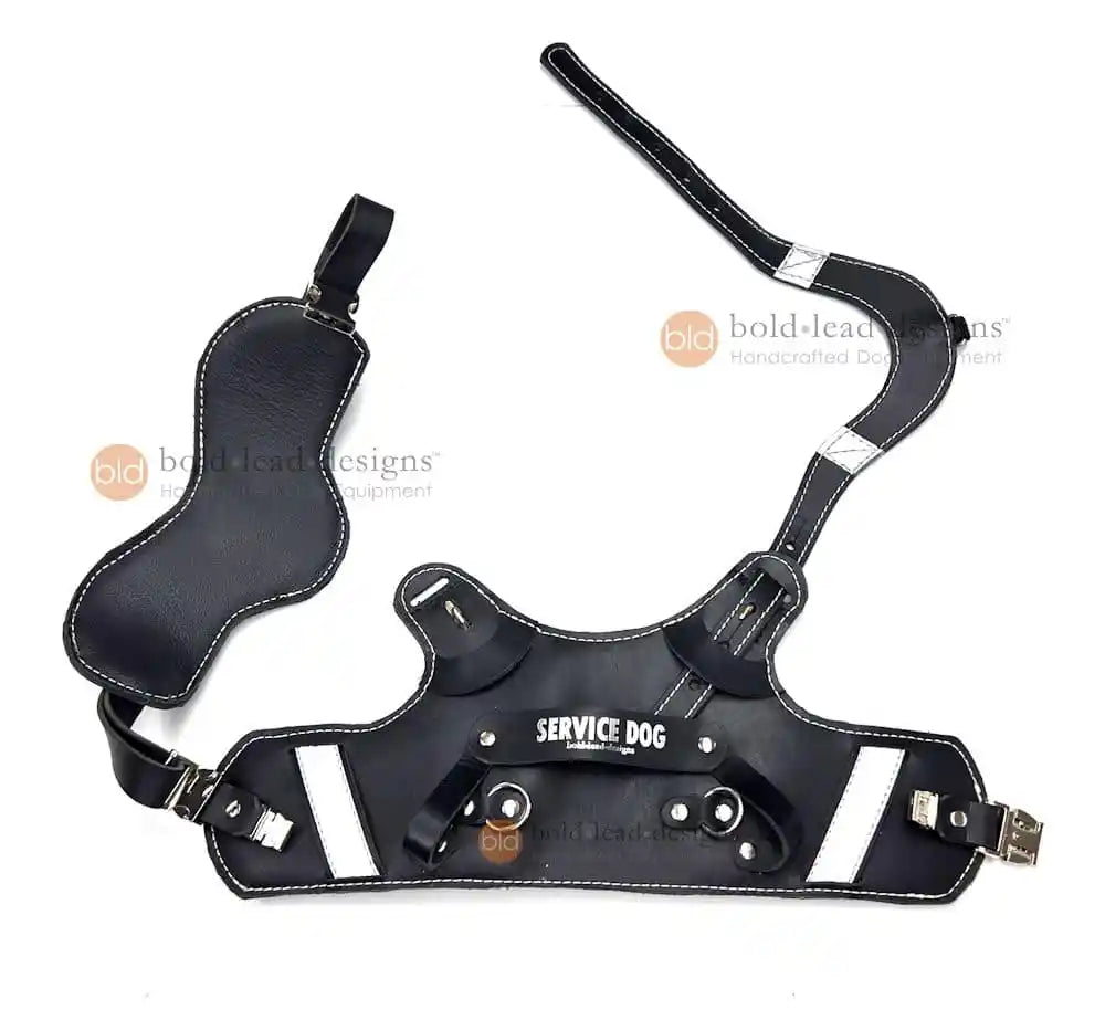 Black leather service dog harness with 'Service Dog' label on a white background