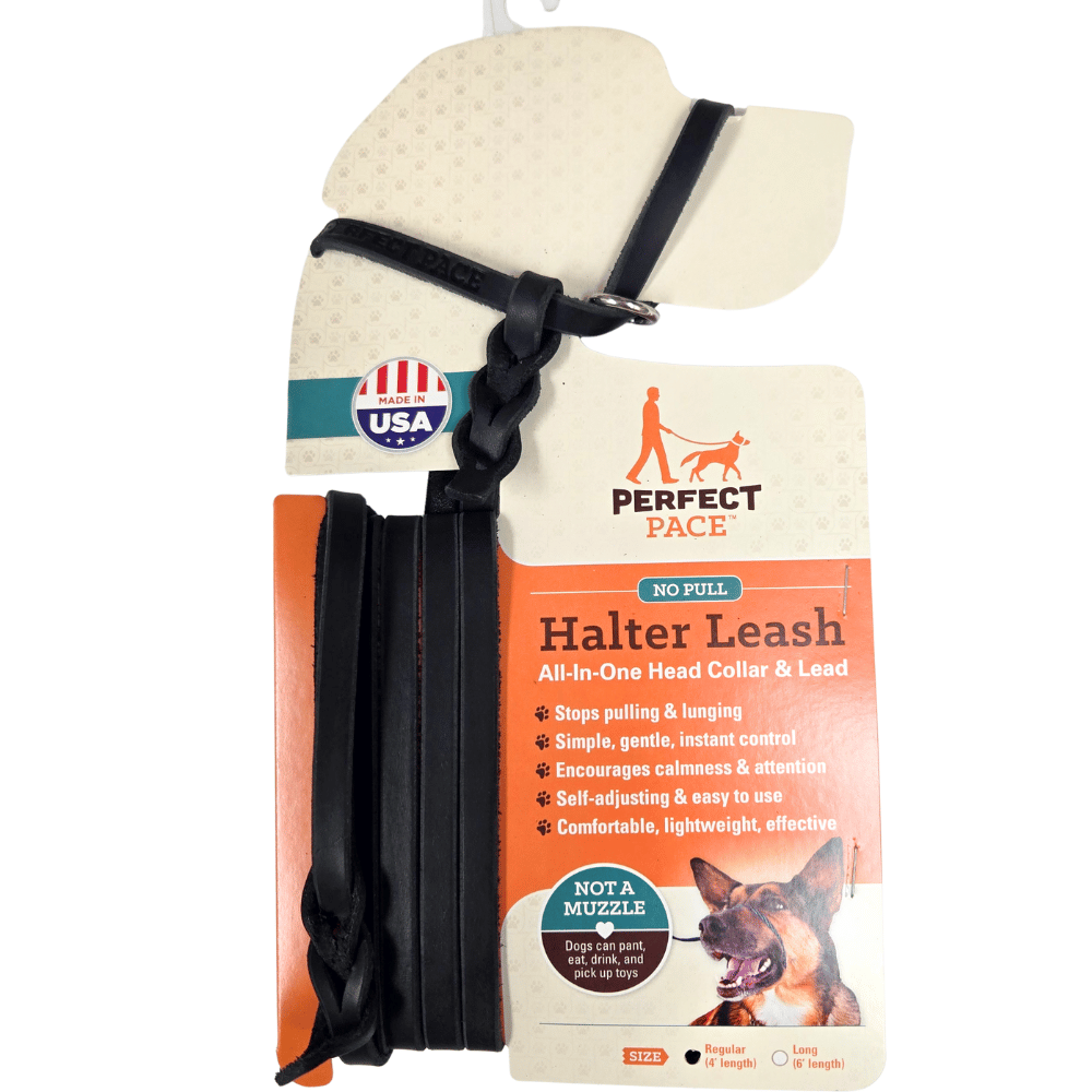 The Leather Perfect Pace™ NO-PULL Head Collar & Halter Leash