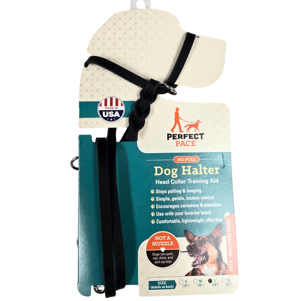 The Leather Perfect Pace™ NO-PULL Head Collar & Halter Leash