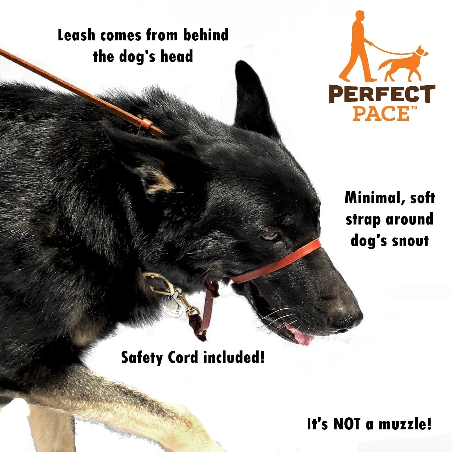 A shepherd wearing a perfect pace with text: leash comes from behind the dog's head; minimal, soft strap around dog's snout; safety cord included; it's not a muzzle