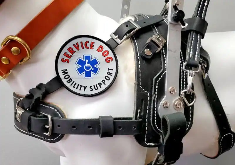 Service dog harness with 'Service Dog Mobility Support' leash wrap badge on the harness shoulder strap on a white mannequin dog