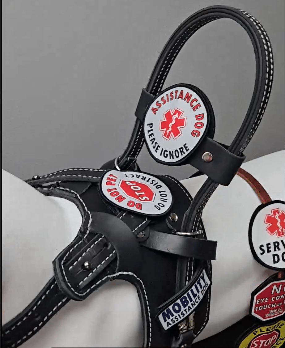 Black leather service dog harness with various patches on a gray background