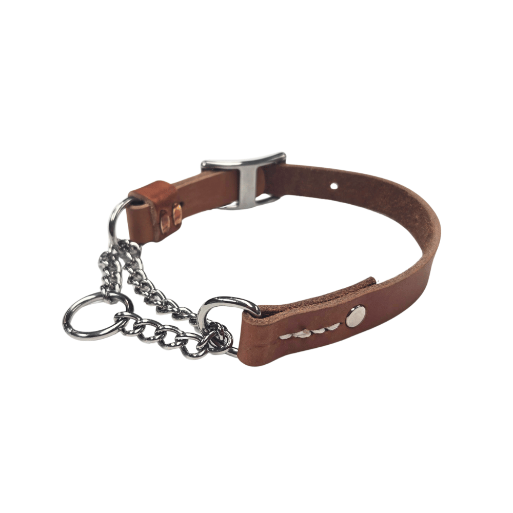 Small brown leather dog collar with metal chain on a white background