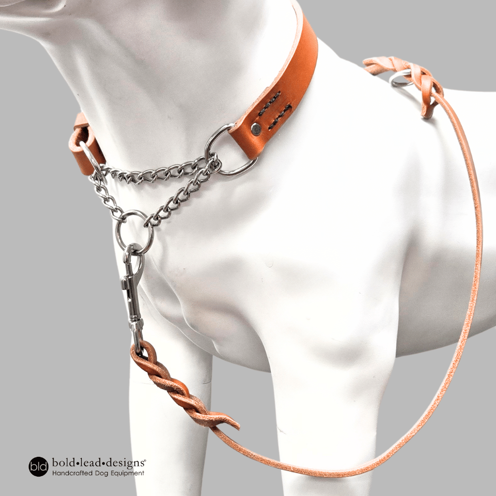 Leather Martingale 2.0 - half check collar