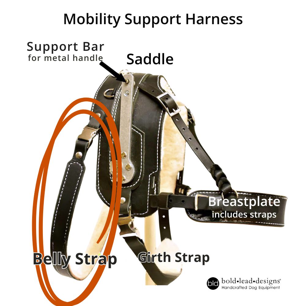 BARGAIN - Belly Strap (MSH or BAH)