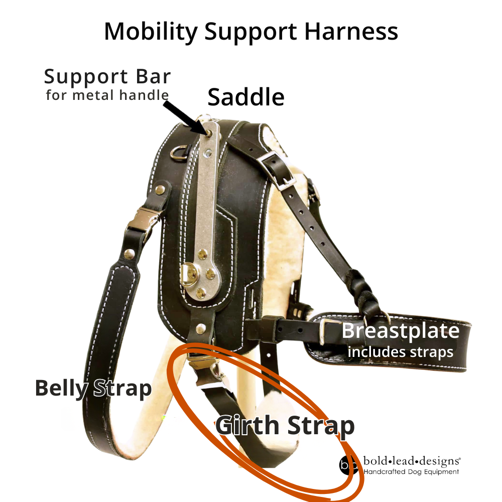 BARGAIN - Girth Strap (MSH or BAH)