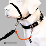 a white dog mannequin with a black head halter and collar. A black leash is connected to the halter, and an orange safety cord connects the leash to the flat collar. 