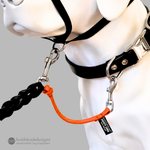 a white dog mannequin with a black head halter and collar. A black leash is connected to the halter, and an orange safety cord connects the leash to the flat collar. 