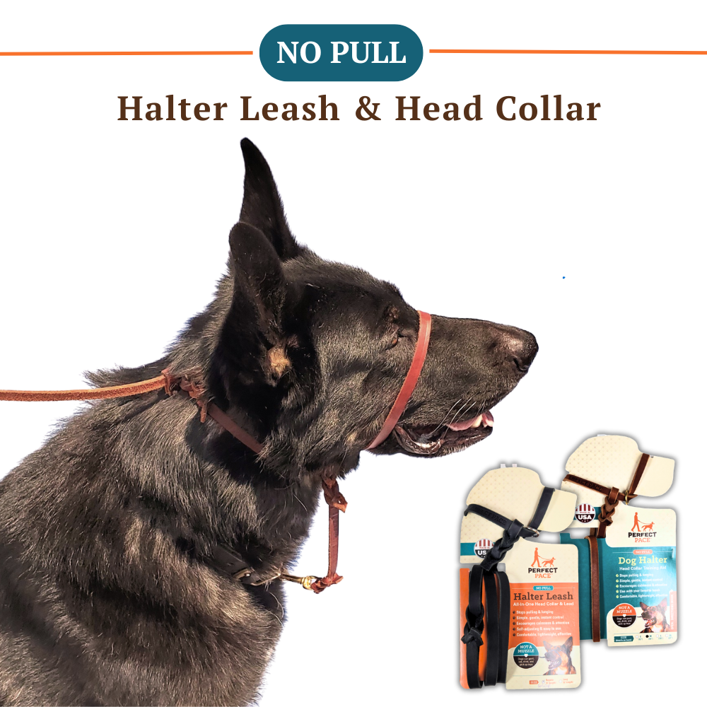 The Leather Perfect Pace™ NO-PULL Head Collar & Halter Leash