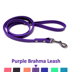 Purple leash with a metal clip on a white background
