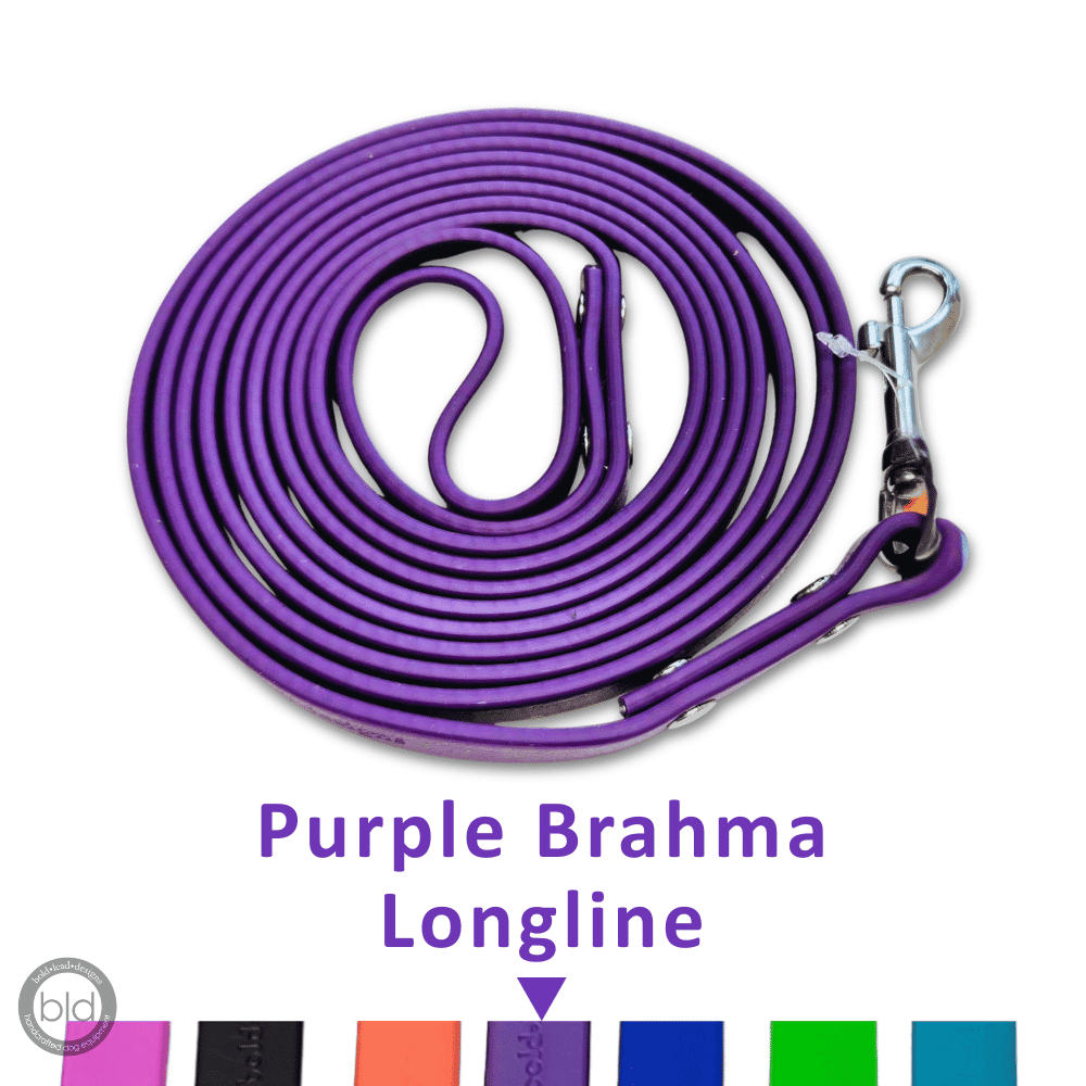 Purple Brahma longline leash on a white background