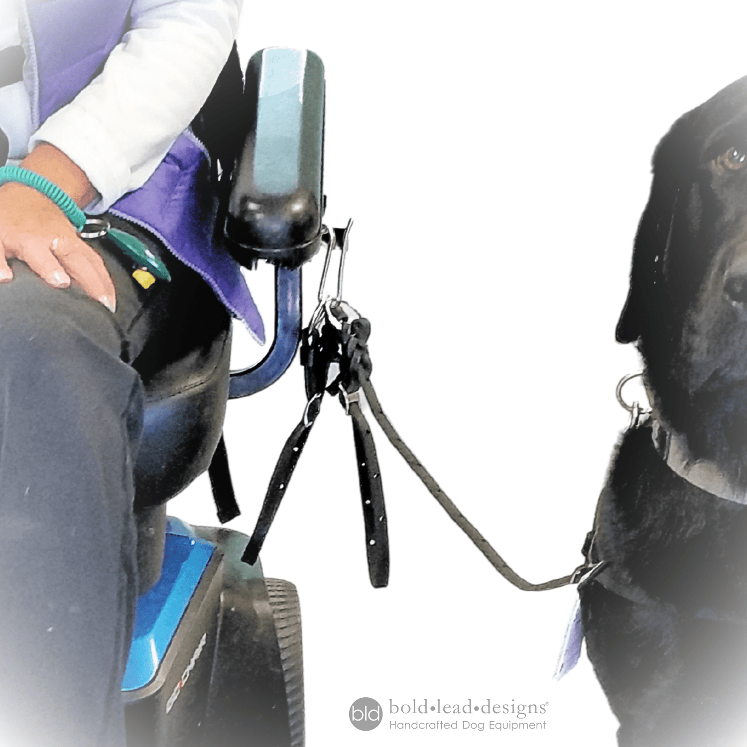 Full-Custom Wheelchair Leash for use with Hook Attachment (quad lead)