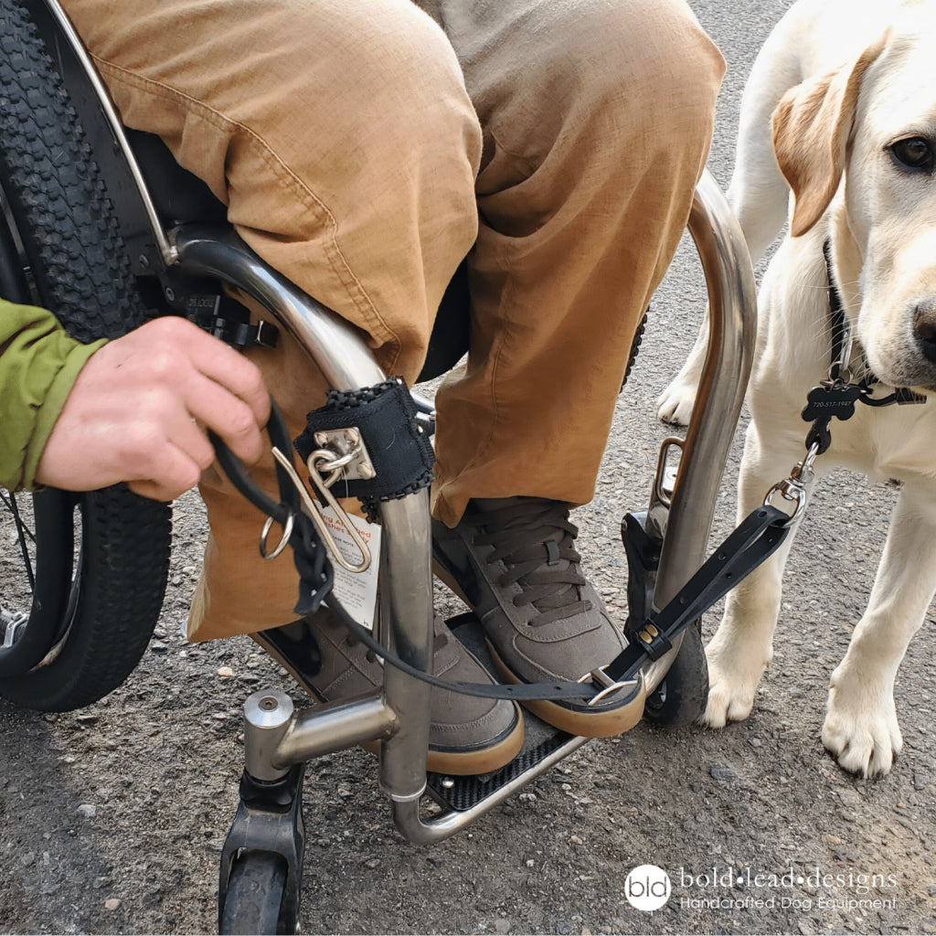 Wheelchair Leash - Hands-Free "Quad Lead"