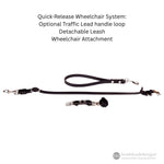 Quick-release wheelchair system with detachable leash on a white background