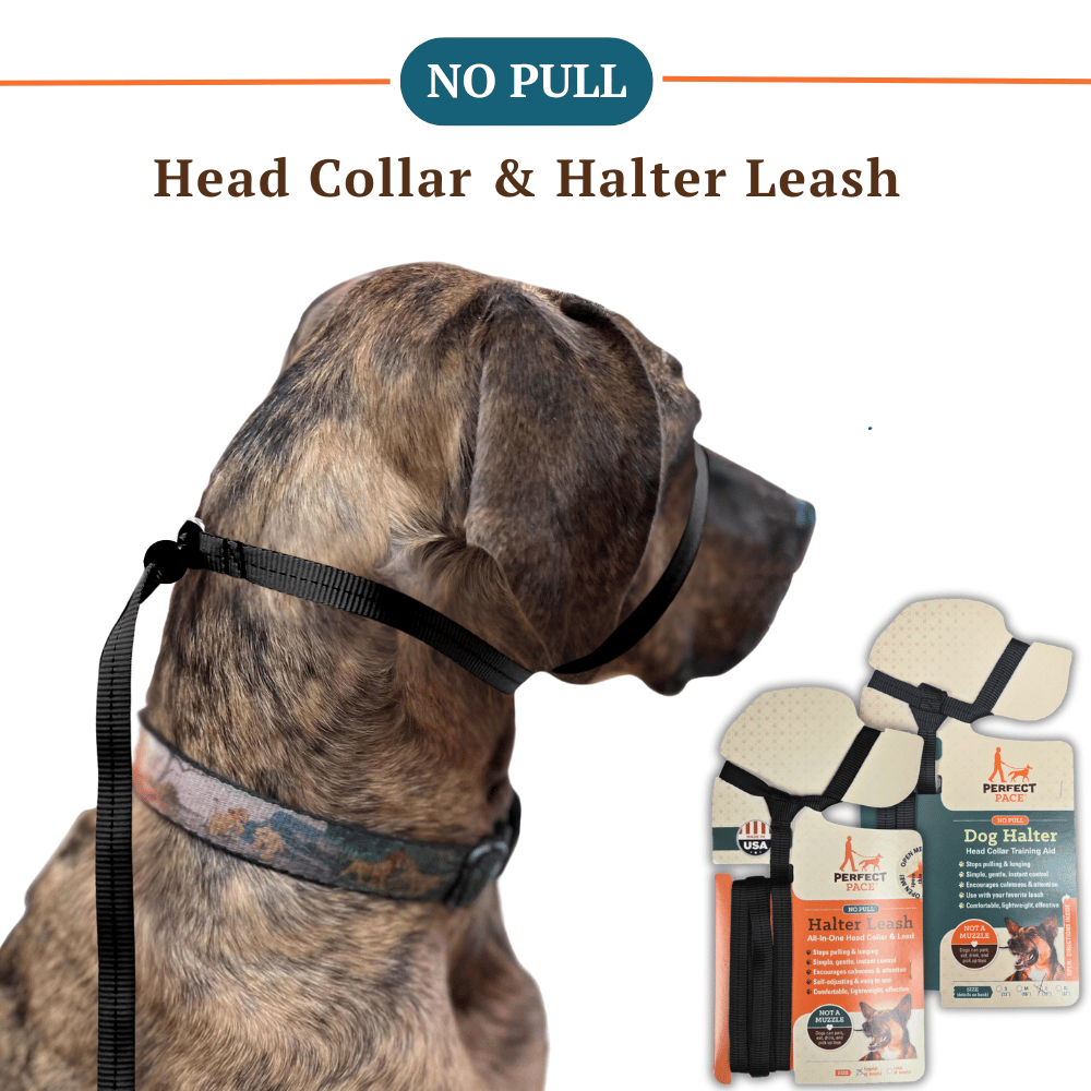 The Smooth Nylon Perfect Pace™ NO-PULL Head Collar & Halter Leash
