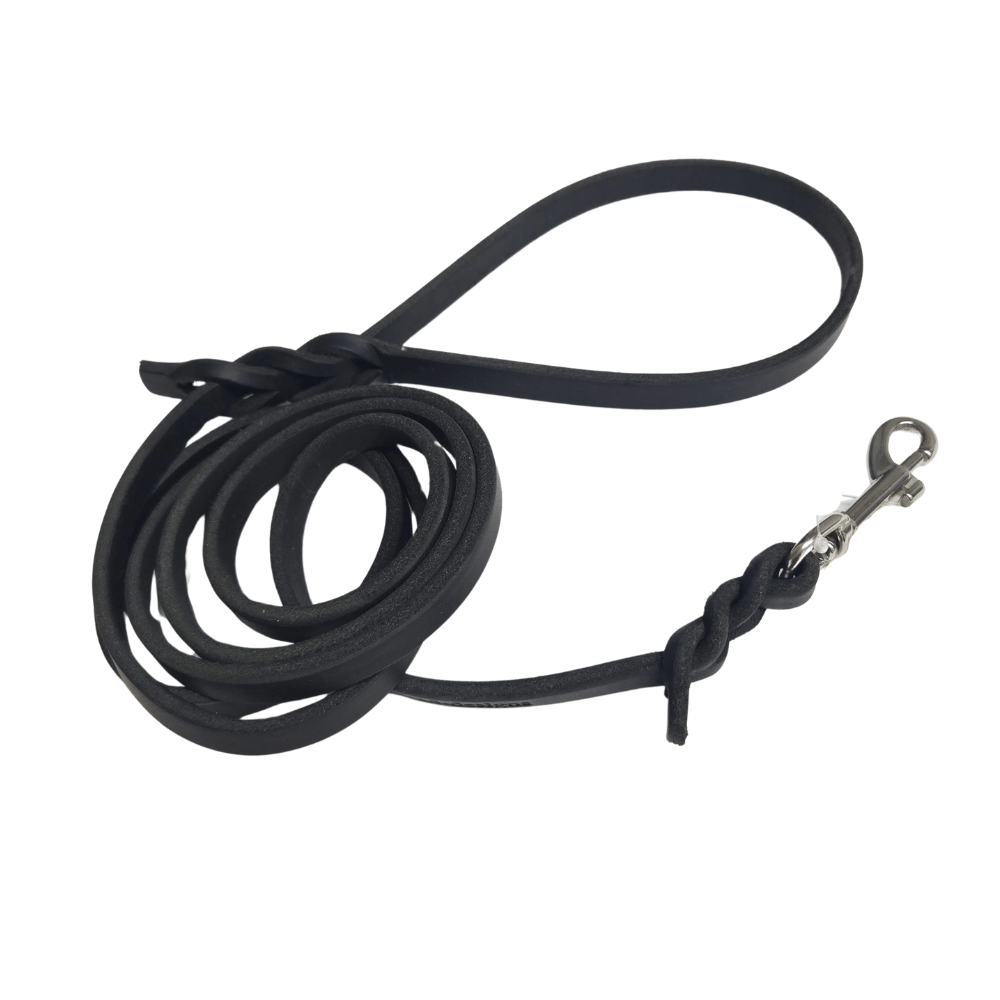 Black leather dog leash with medium sized stainless steel bolt snap a white background